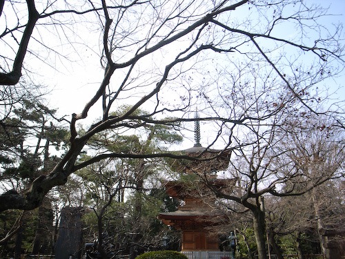 豪徳寺　招き猫2